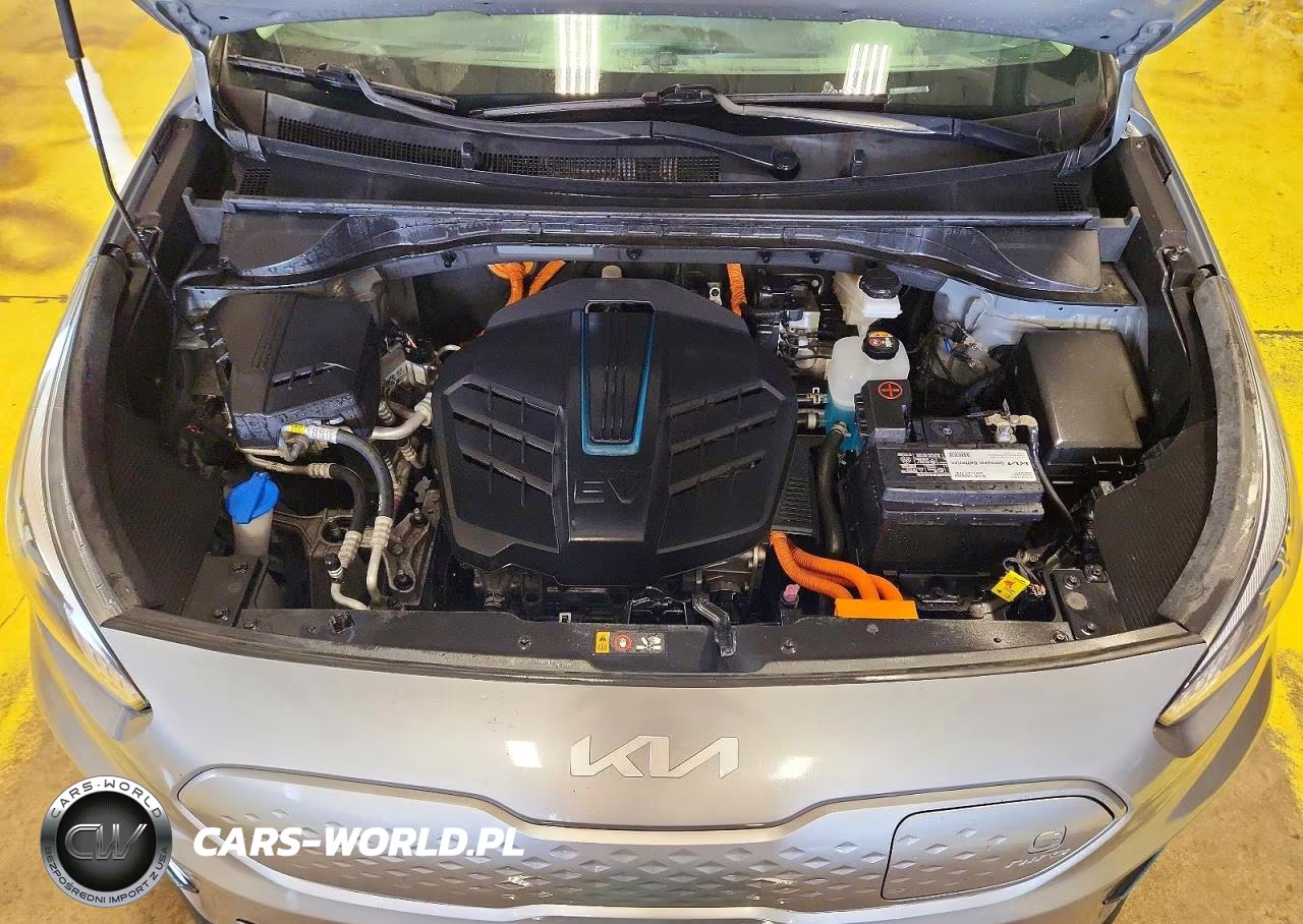 2022 Kia Niro Ev S VIN:KNDCC3LGXN5159777 - 12