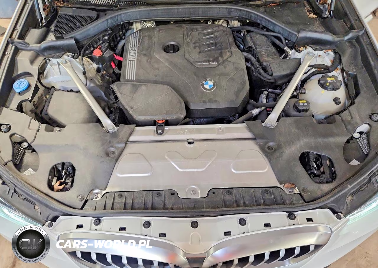 2022 BMW X3 Sdrive30I VIN:5UX43DP01N9N17847 - 12