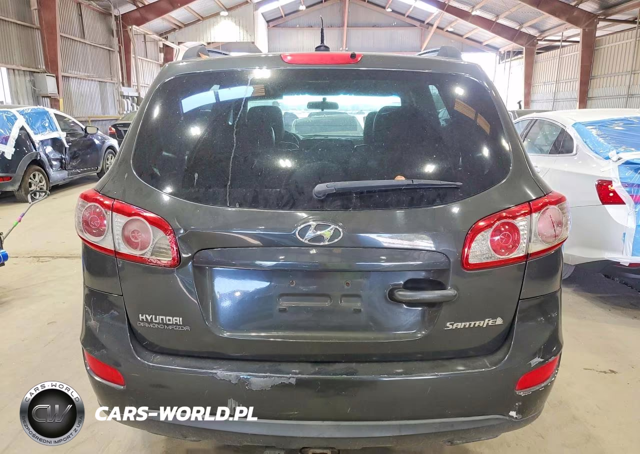 2010 Hyundai Santa Fe Gls VIN:5NMSG3AB0AH337176 - 6
