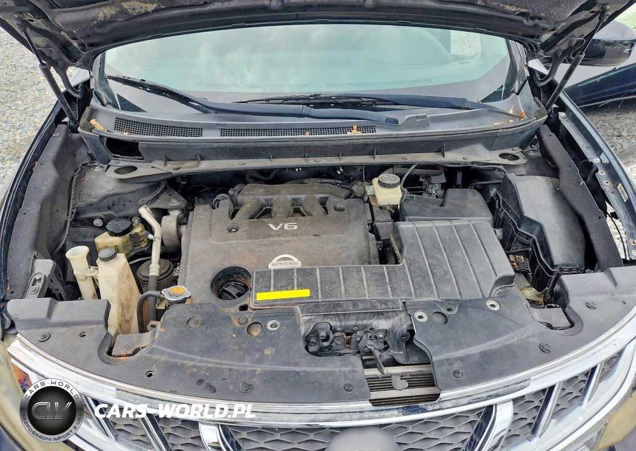 2013 Nissan Murano S VIN:JN8AZ1MU7DW211216 - 11