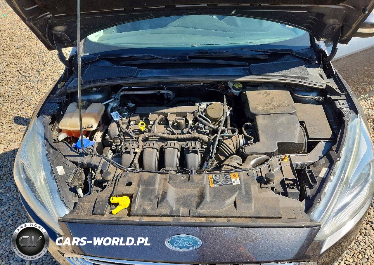 2015 Ford Focus Titanium VIN:1FADP3N28FL349395 - 11