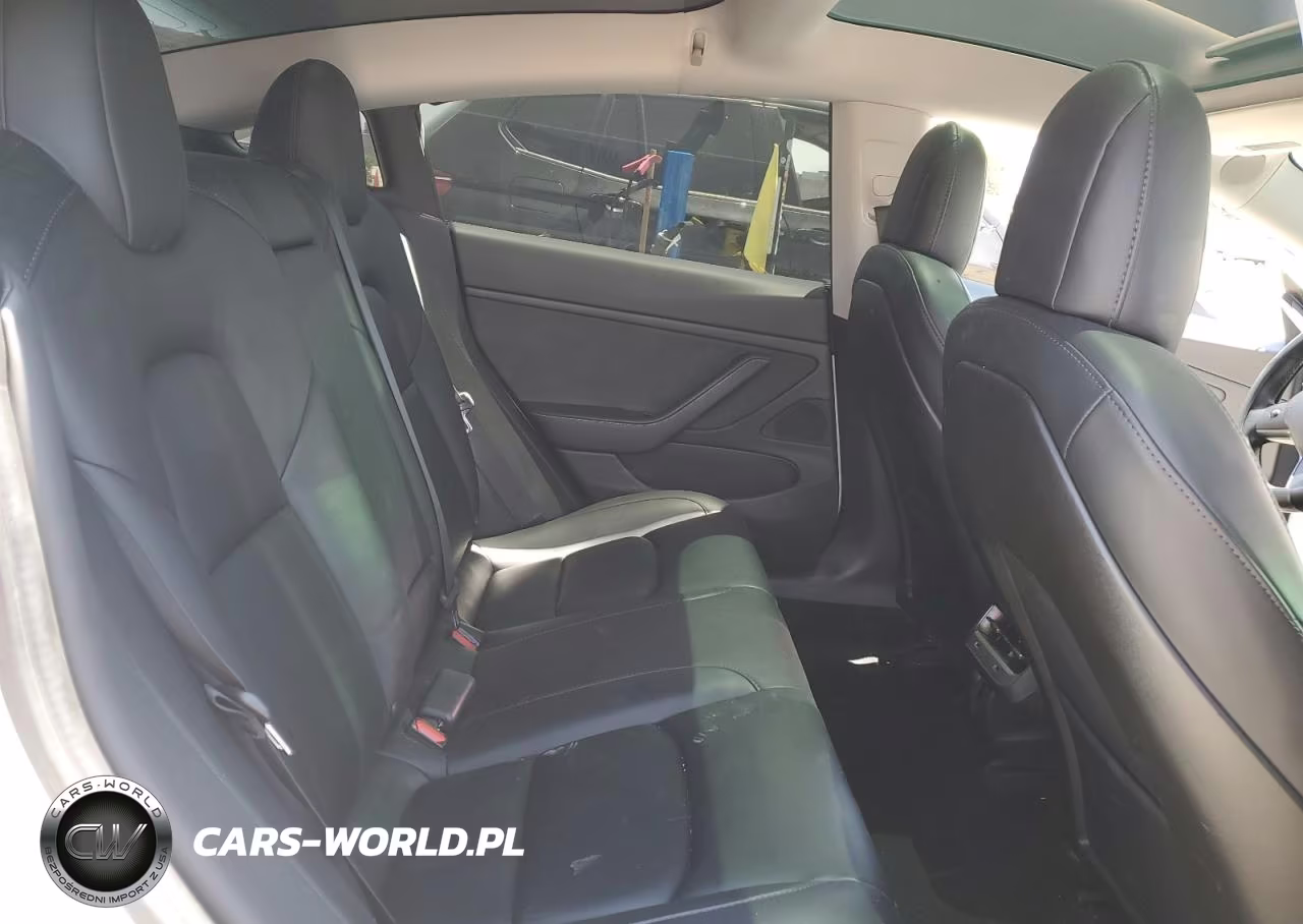 2020 Tesla Model 3 VIN:5YJ3E1EB2LF666006 - 10