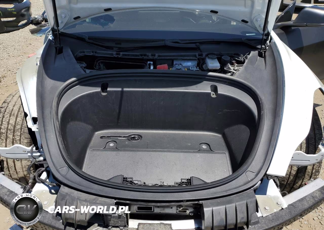 2020 Tesla Model 3 VIN:5YJ3E1EB2LF666006 - 11