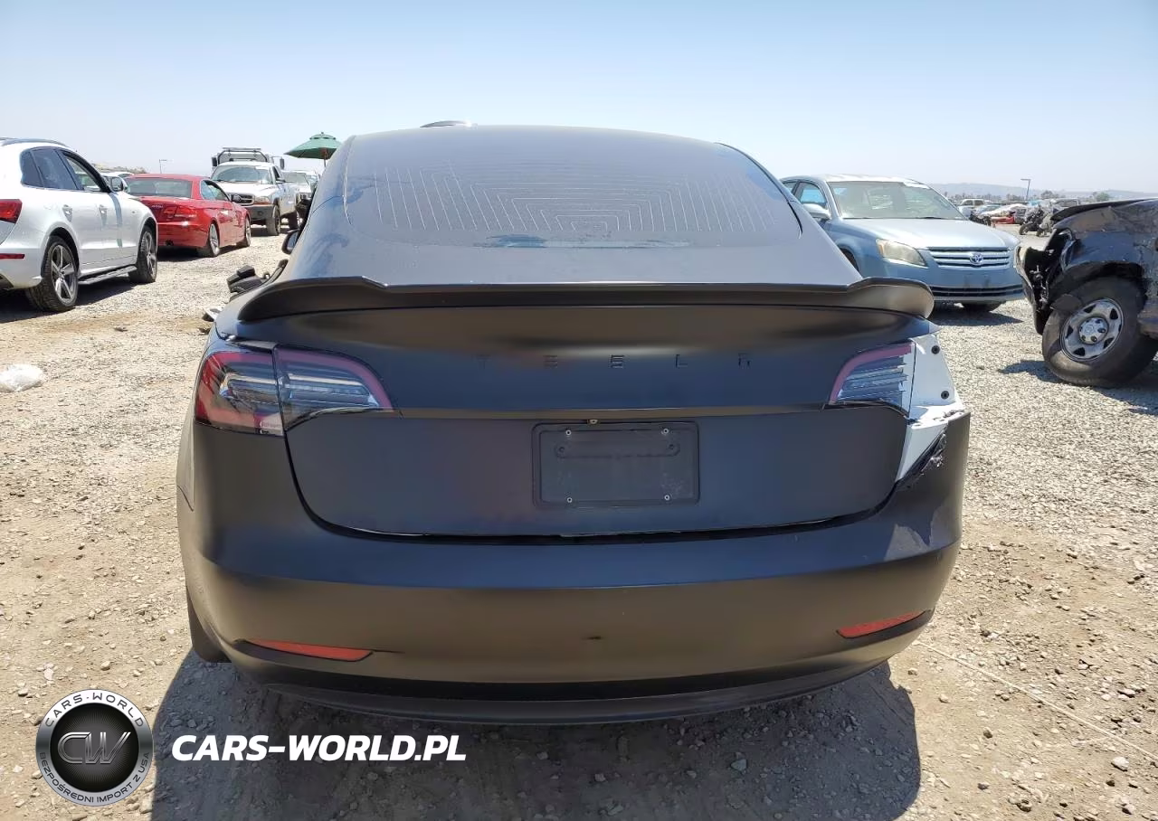 2020 Tesla Model 3 VIN:5YJ3E1EB2LF666006 - 6