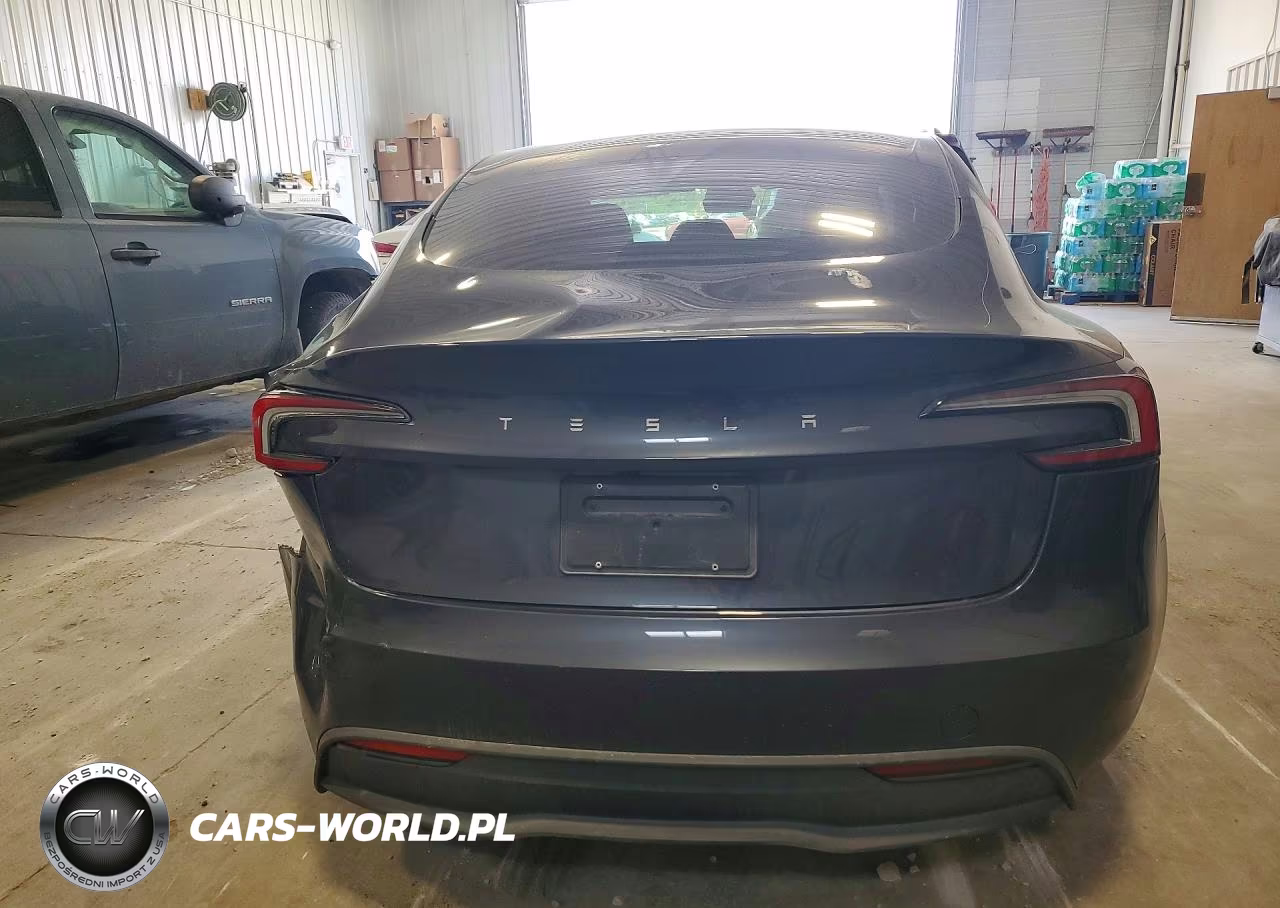 2025 Tesla Model 3 VIN:5YJ3E1EA1SF992837 - 6