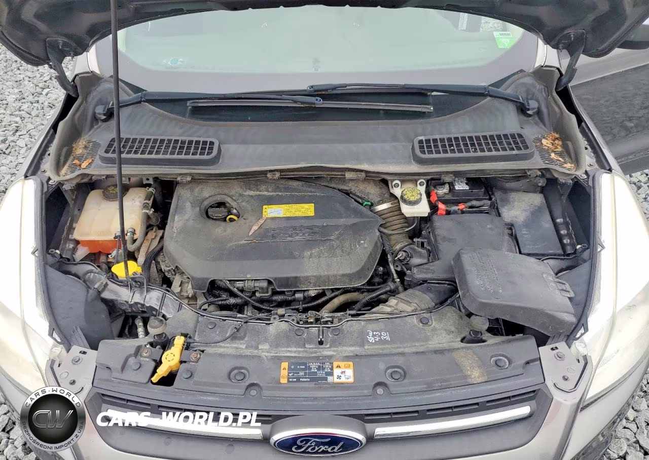 2014 Ford Escape Se VIN:1FMCU9GX7EUB14713 - 12