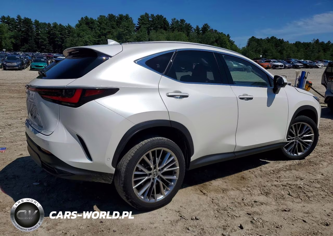 2024 Lexus Nx 350H Luxury VIN:JTJHKCEZXR2025668 - 3