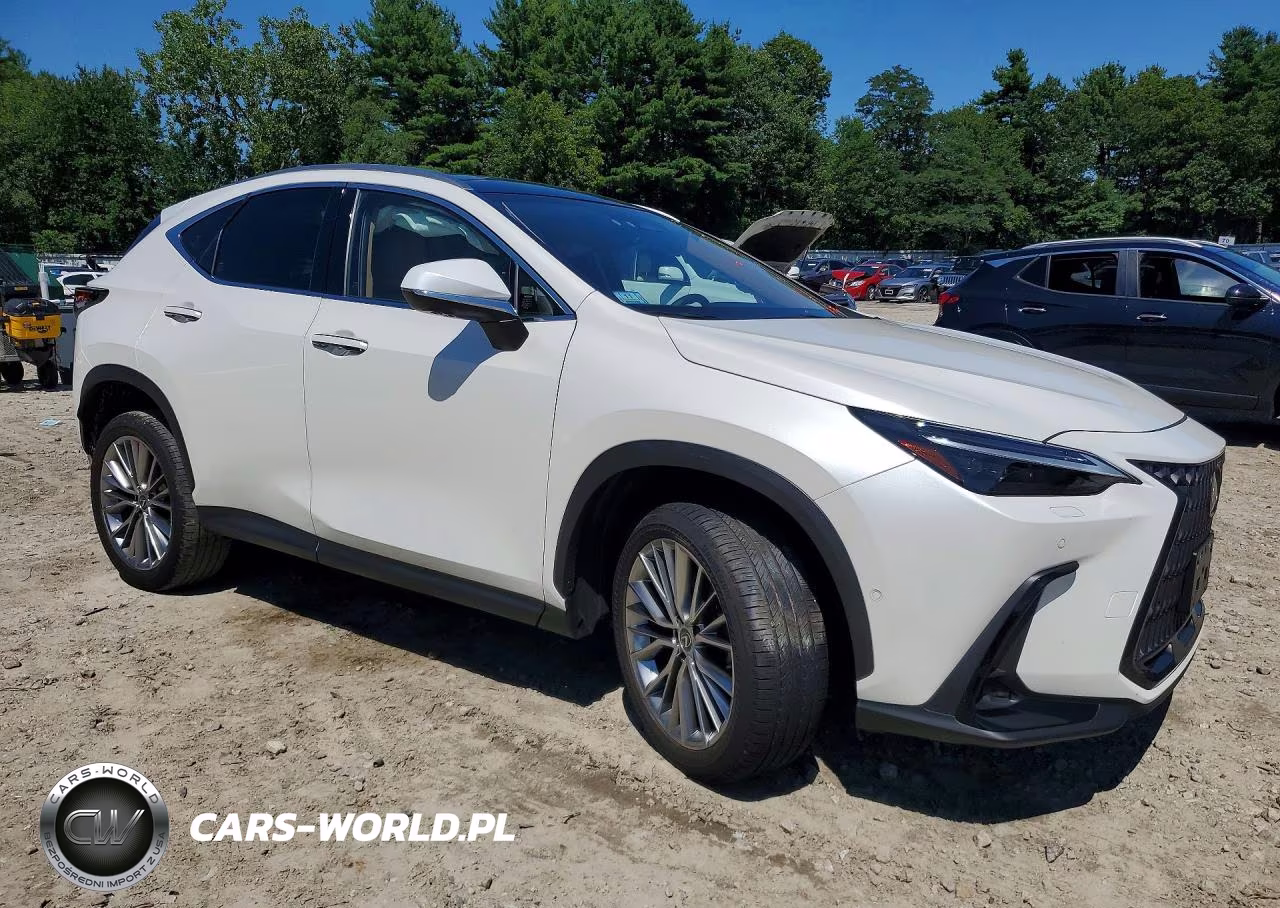 2024 Lexus Nx 350H Luxury VIN:JTJHKCEZXR2025668 - 4