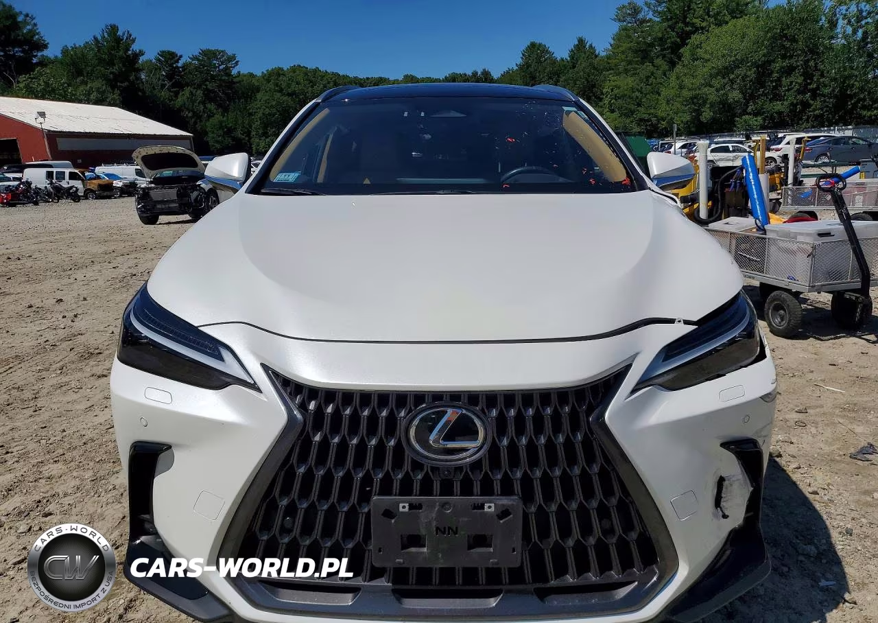 2024 Lexus Nx 350H Luxury VIN:JTJHKCEZXR2025668 - 5