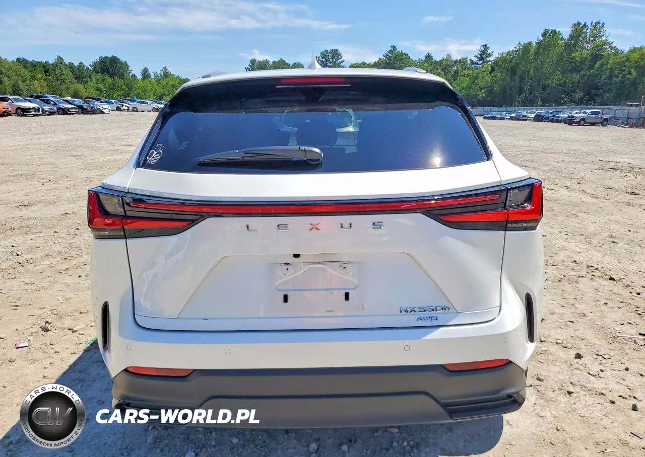 2024 Lexus Nx 350H Luxury VIN:JTJHKCEZXR2025668 - 6