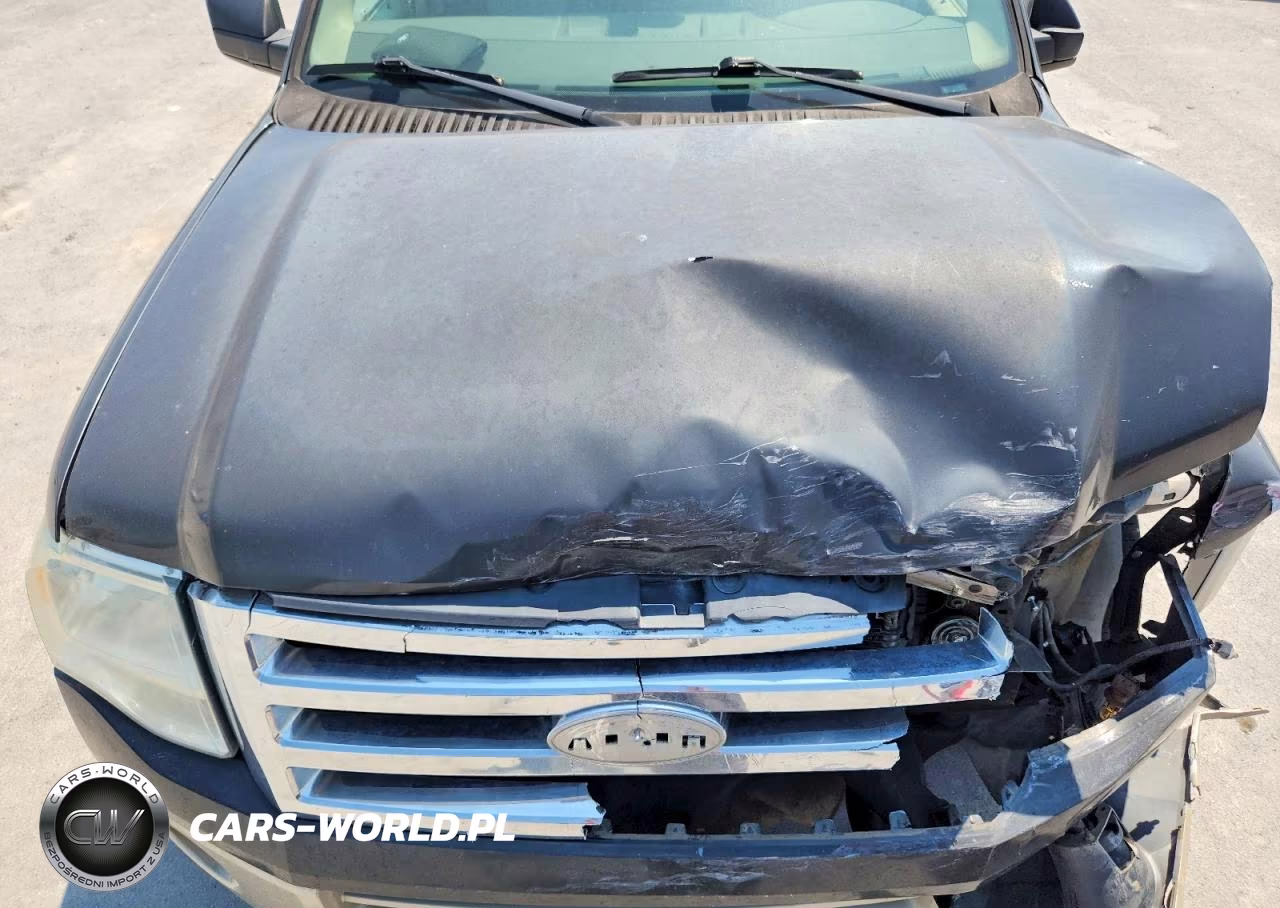2007 Ford Expedition Eddie Bauer VIN:1FMFU17597LA89142 - 12