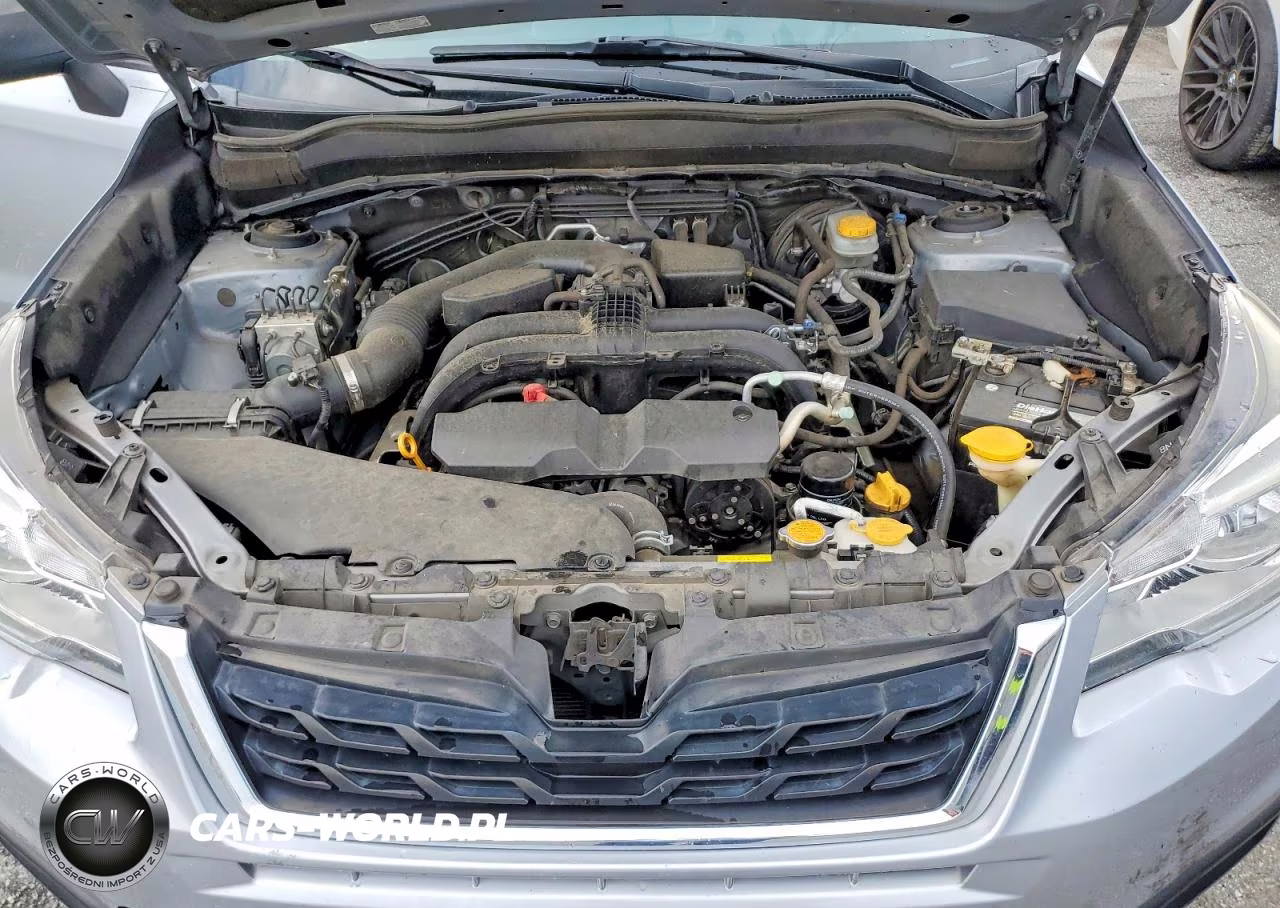2017 Subaru Forester 2.5I VIN:JF2SJABC5HH405966 - 12
