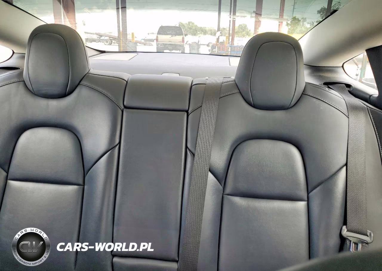 2021 Tesla Model 3 VIN:5YJ3E1EA2MF086893 - 10