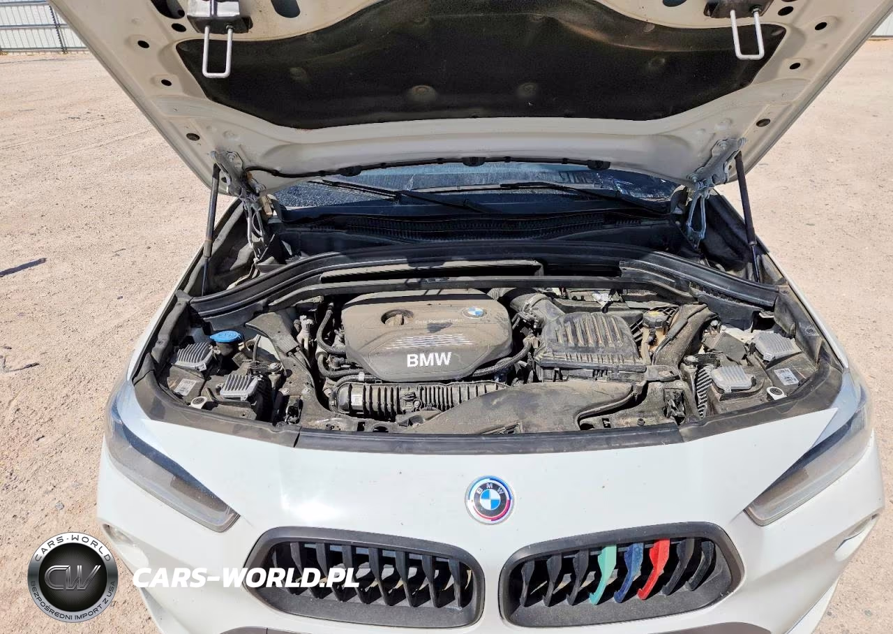2018 BMW X2 Sdrive28I VIN:WBXYJ3C39JEJ84594 - 11