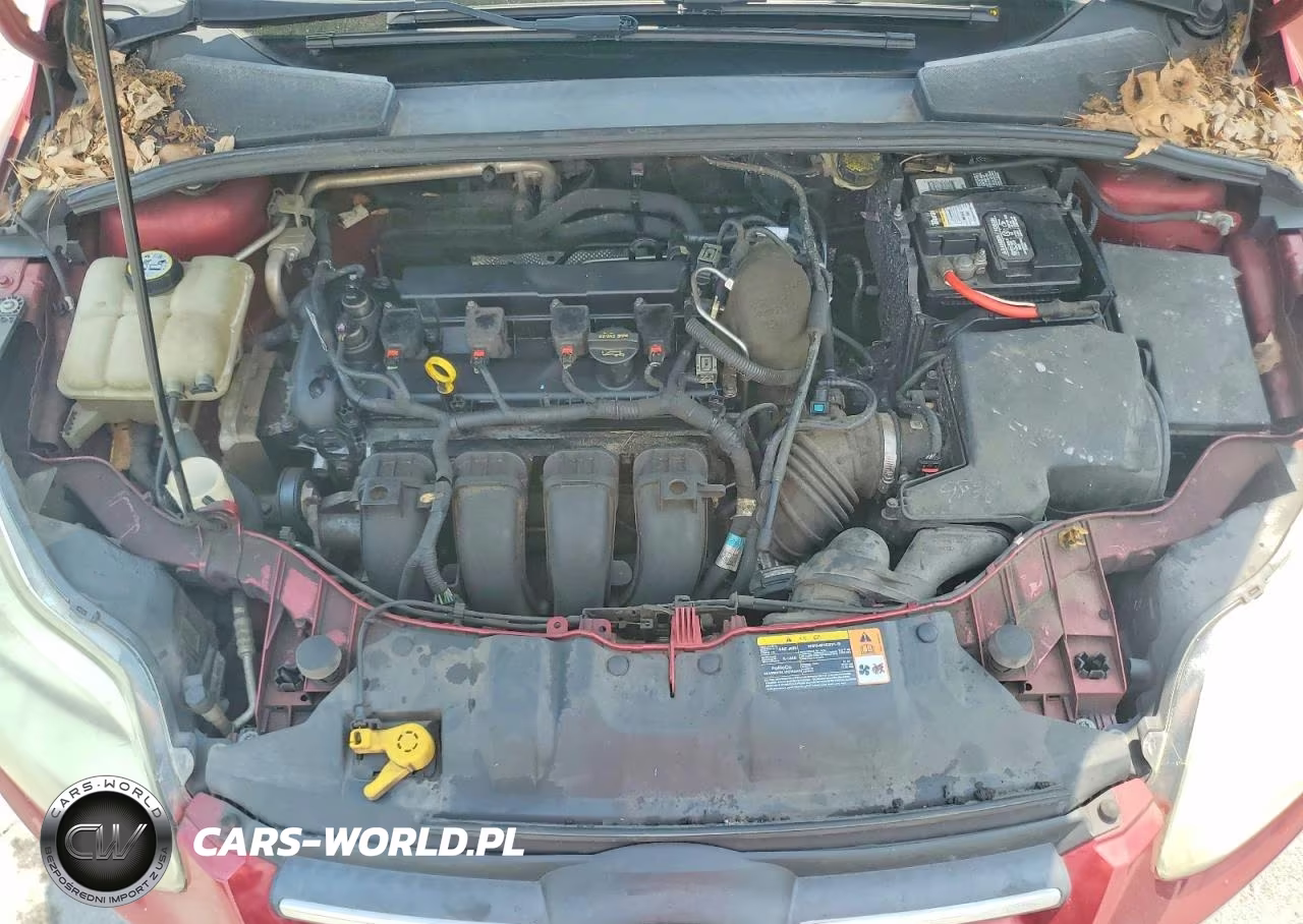 2013 Ford Focus Se VIN:1FADP3F22DL359822 - 11