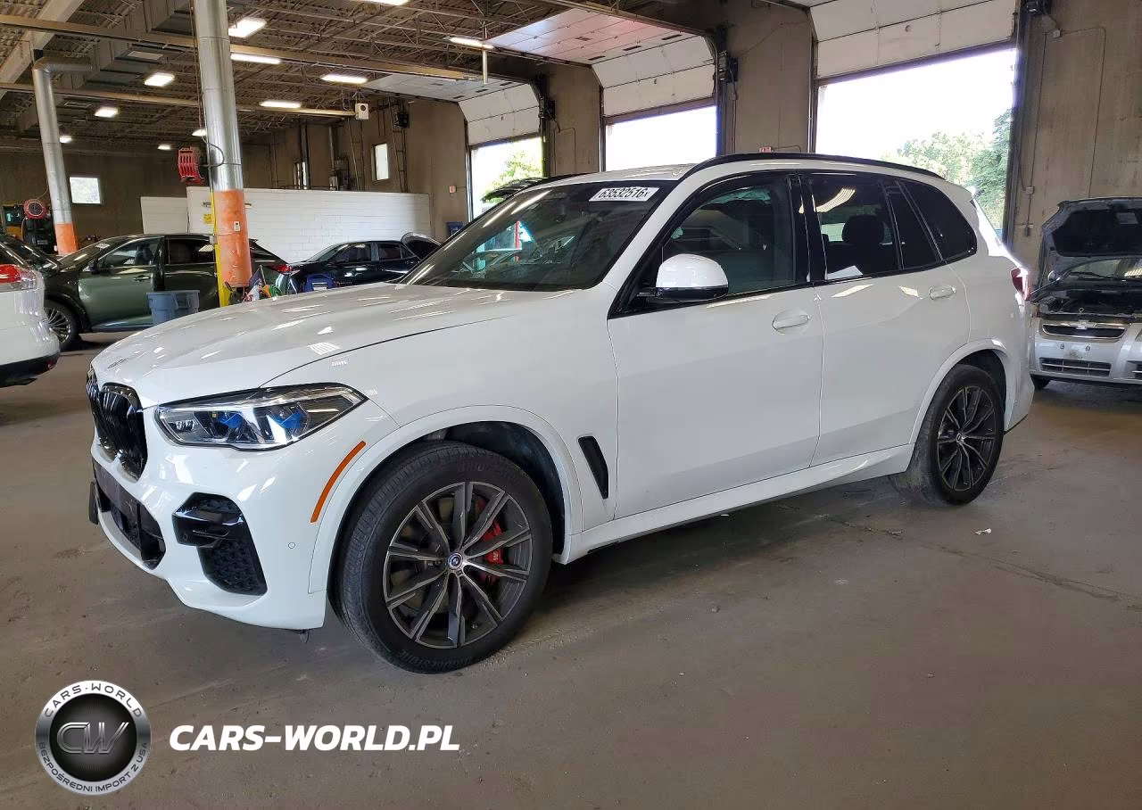 2023 BMW X5 M50I VIN:5UXJU4C01P9R05976 - 1