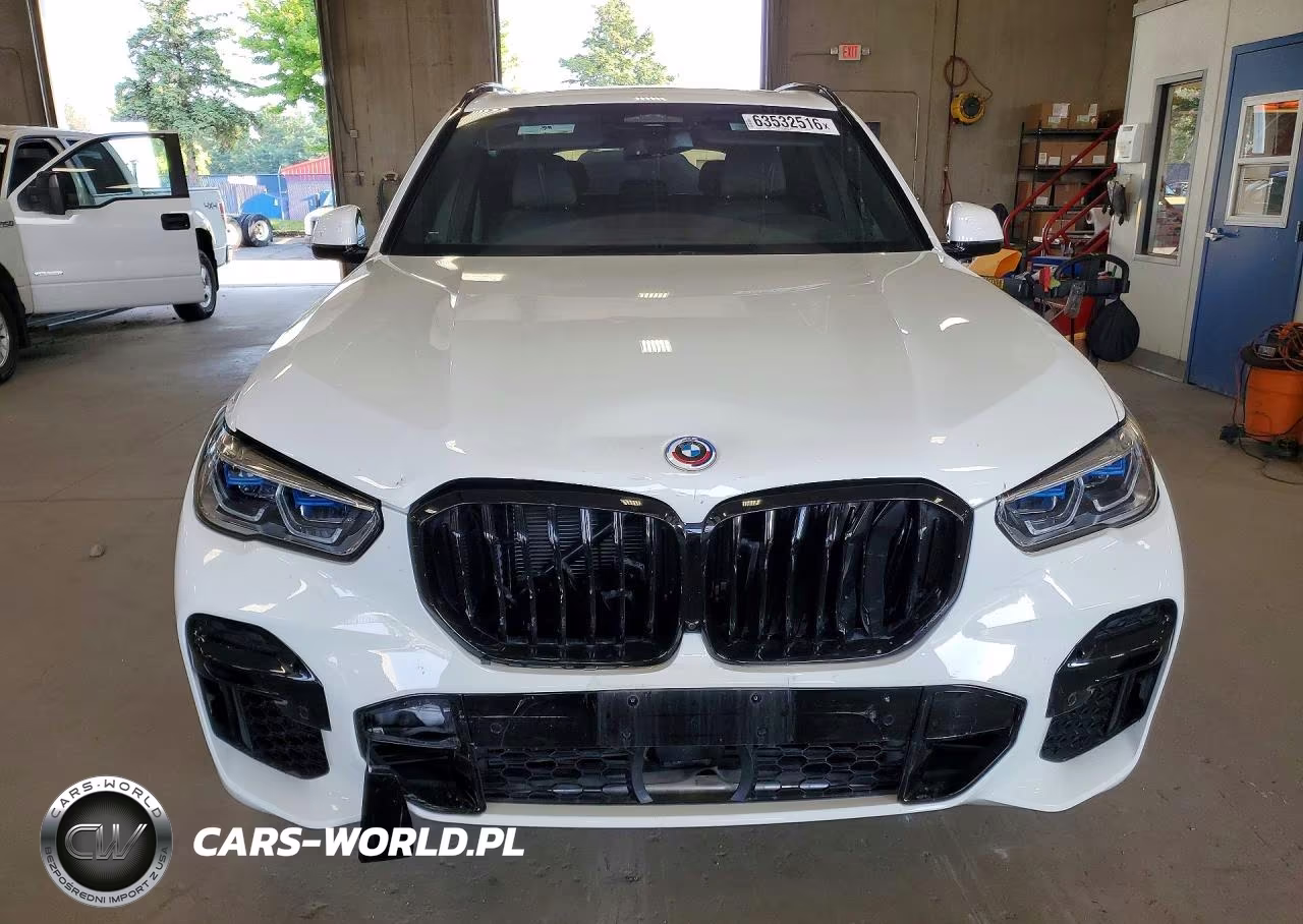 2023 BMW X5 M50I VIN:5UXJU4C01P9R05976 - 5
