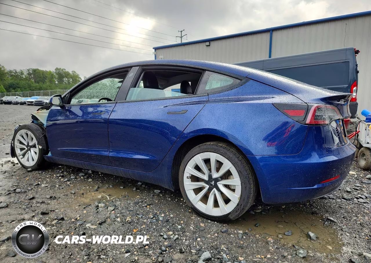 2022 Tesla Model 3 VIN:5YJ3E1EA9NF369518 - 2