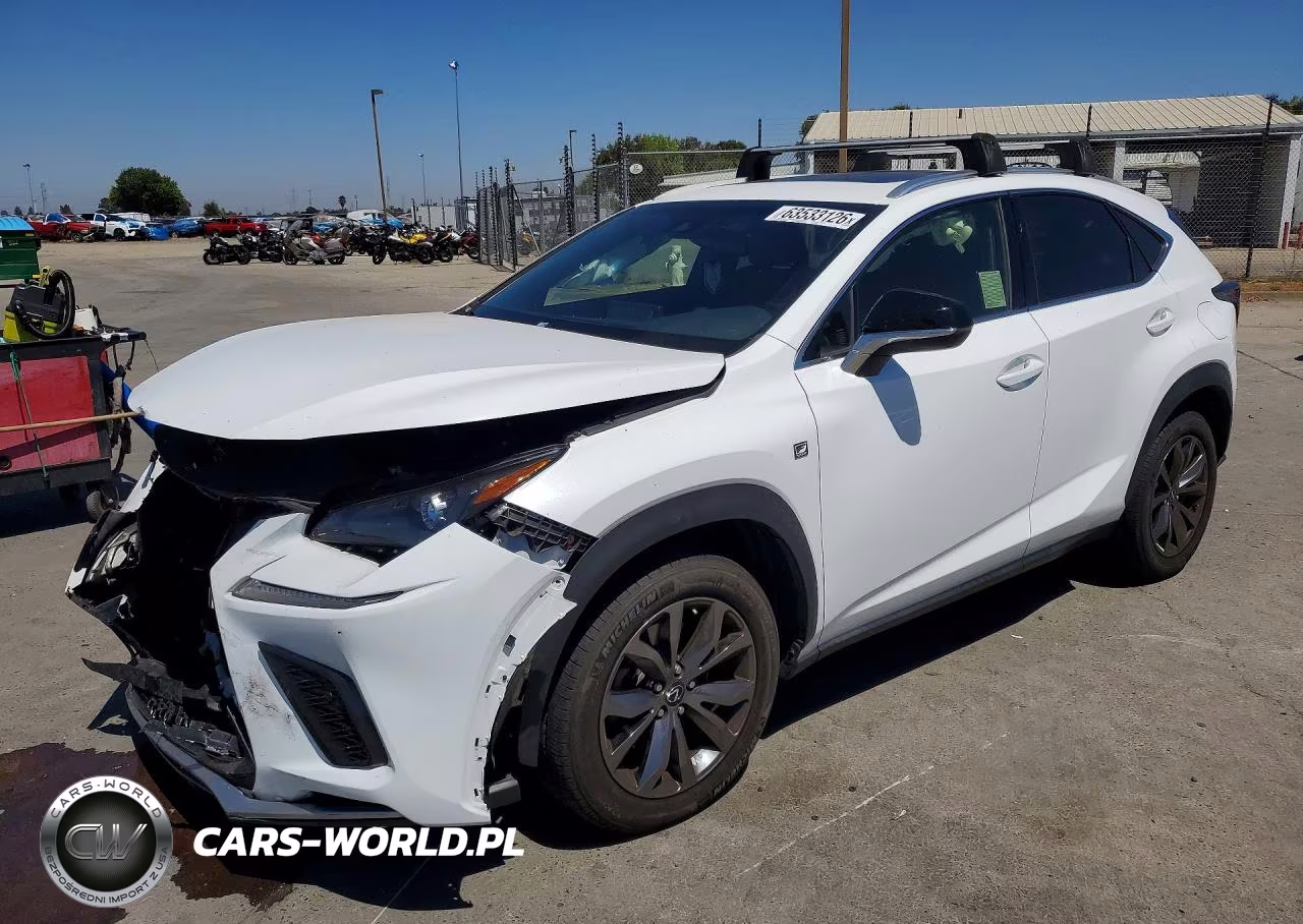 2019 Lexus Nx 300 F Sport