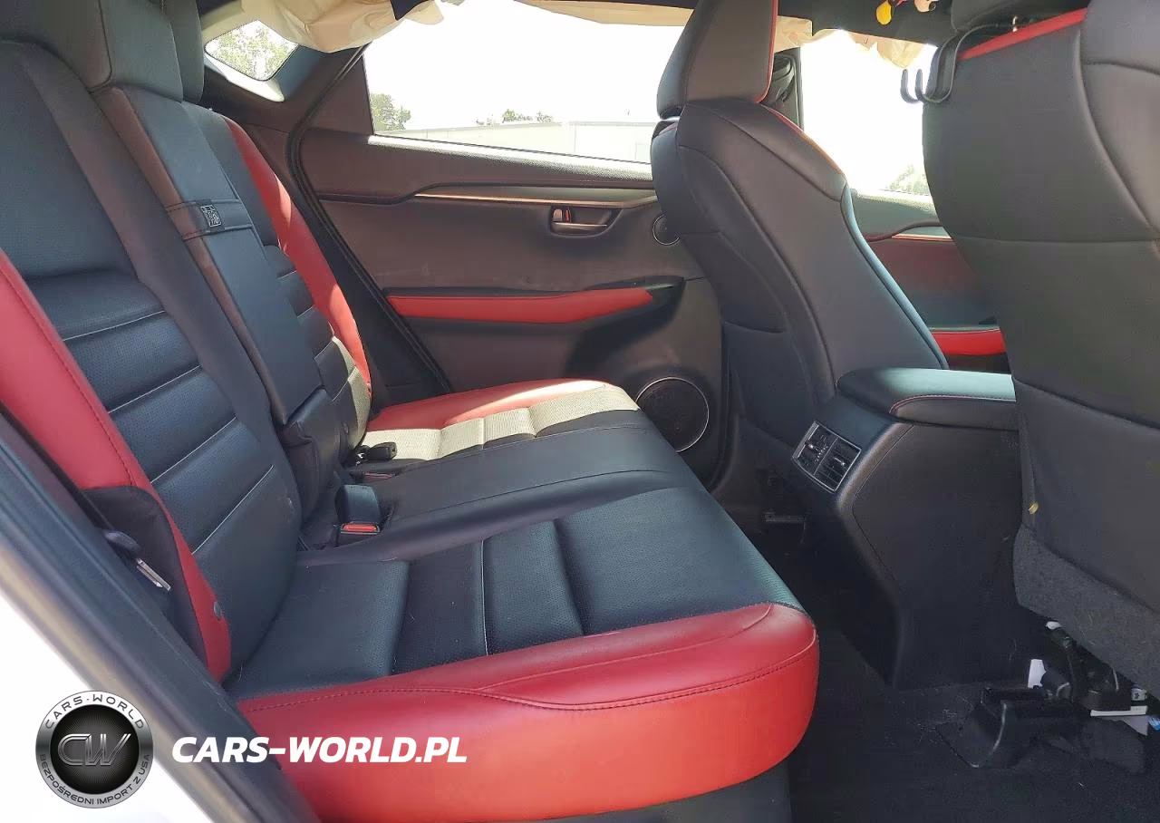2019 Lexus Nx 300 F Sport VIN:JTJYARBZ0K2132387 - 10