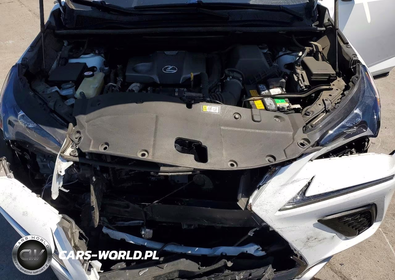 2019 Lexus Nx 300 F Sport VIN:JTJYARBZ0K2132387 - 11