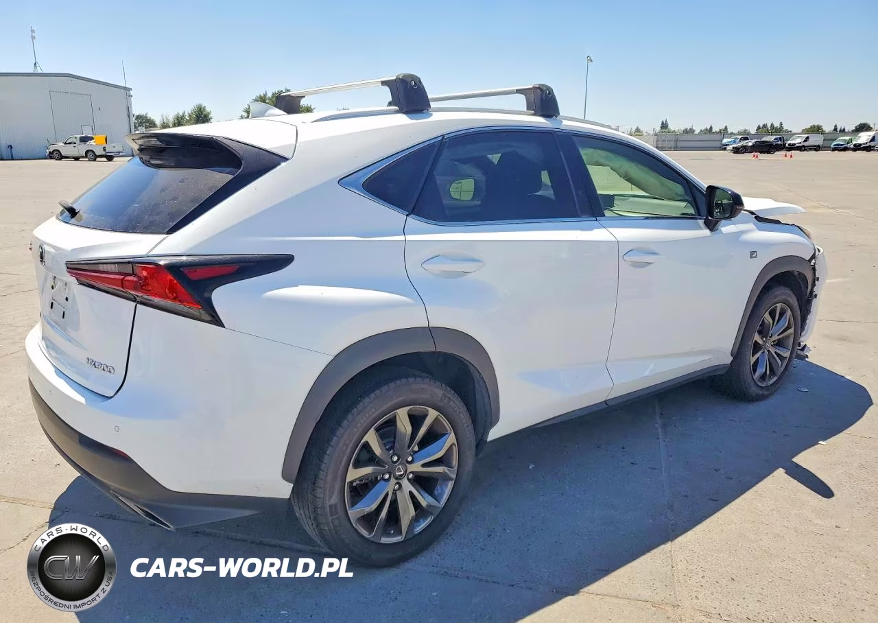 2019 Lexus Nx 300 F Sport VIN:JTJYARBZ0K2132387 - 3