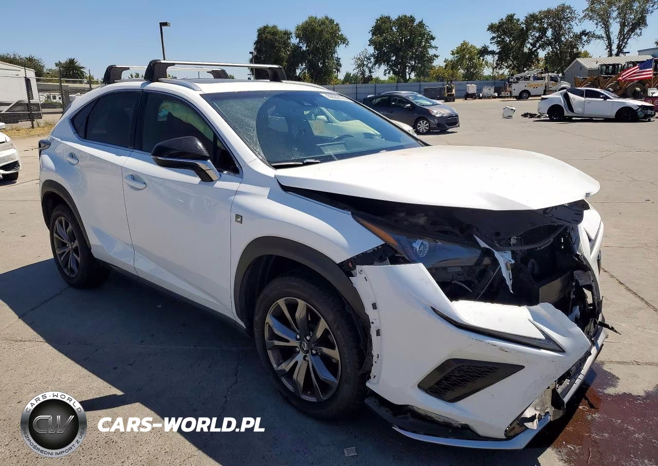 2019 Lexus Nx 300 F Sport VIN:JTJYARBZ0K2132387 - 4