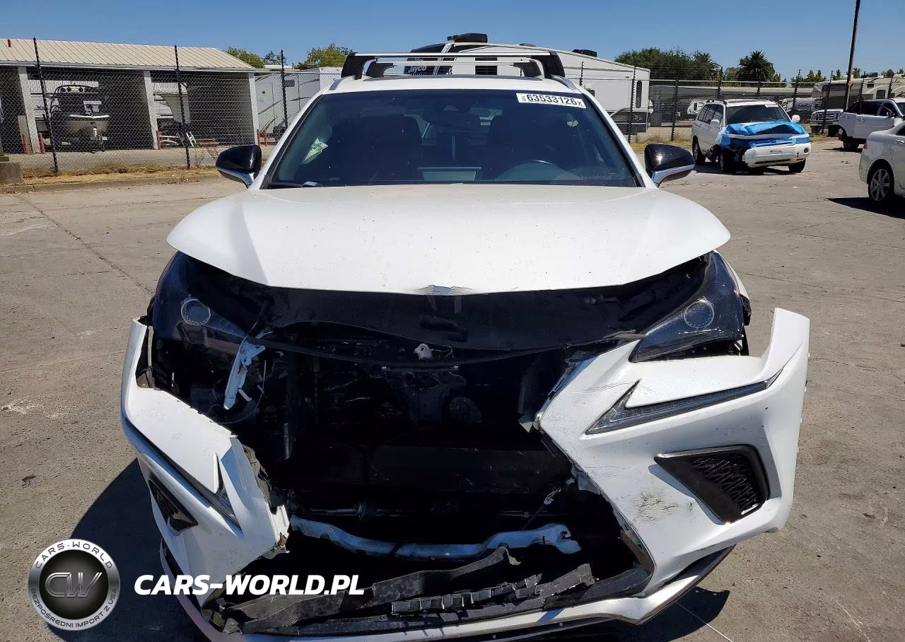2019 Lexus Nx 300 F Sport VIN:JTJYARBZ0K2132387 - 5