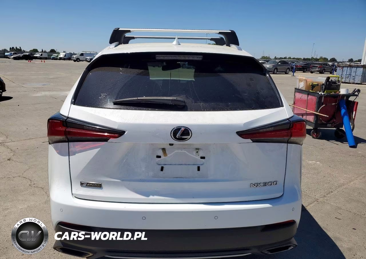 2019 Lexus Nx 300 F Sport VIN:JTJYARBZ0K2132387 - 6
