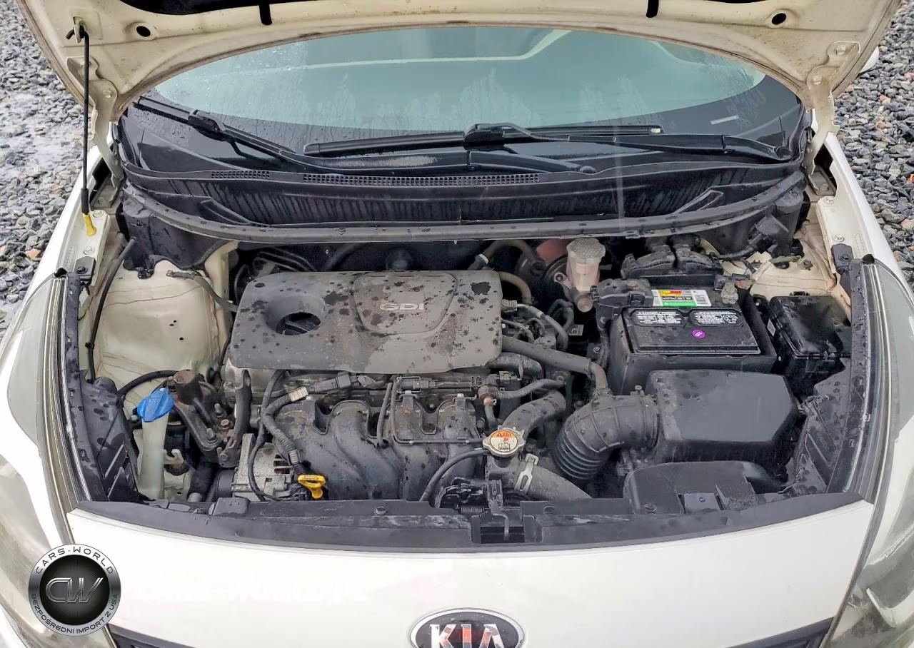2016 Kia Rio Lx VIN:KNADM4A39G6620369 - 11