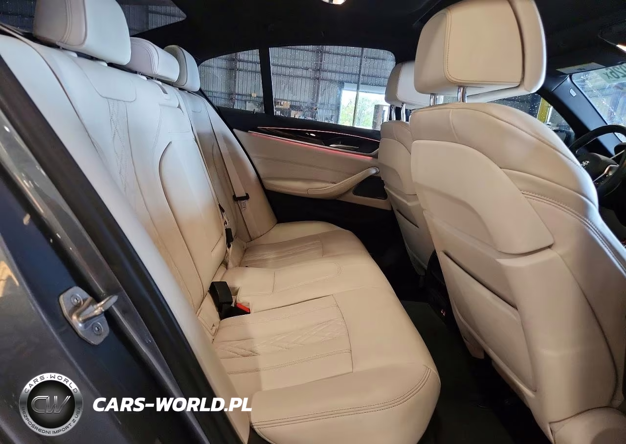 2020 BMW 530 I VIN:WBAJR3C00LWW54938 - 10