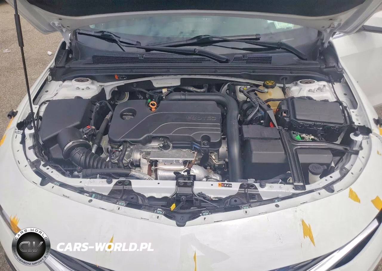2019 Chevrolet Malibu Lt VIN:1G1ZD5ST2KF206834 - 11