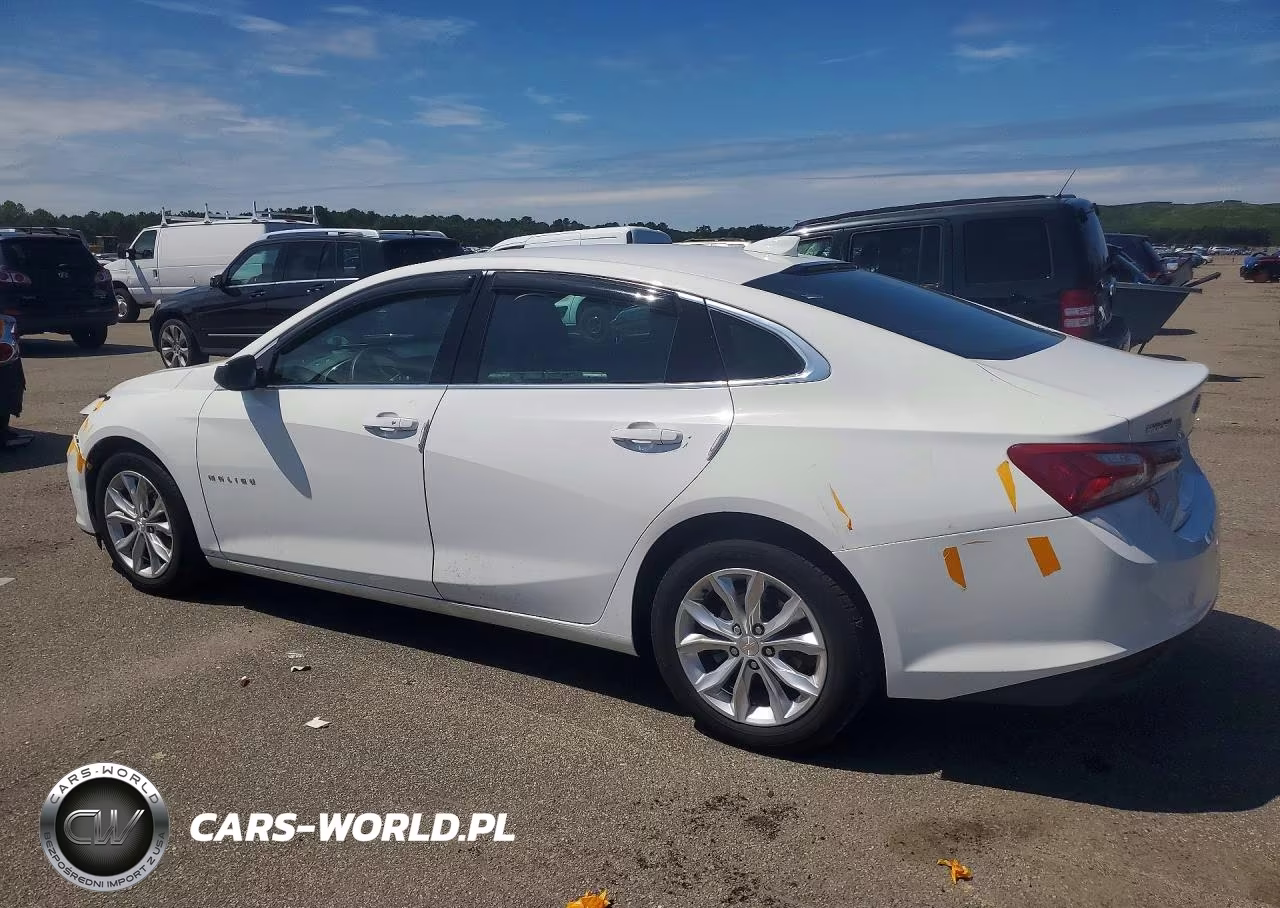 2019 Chevrolet Malibu Lt VIN:1G1ZD5ST2KF206834 - 2