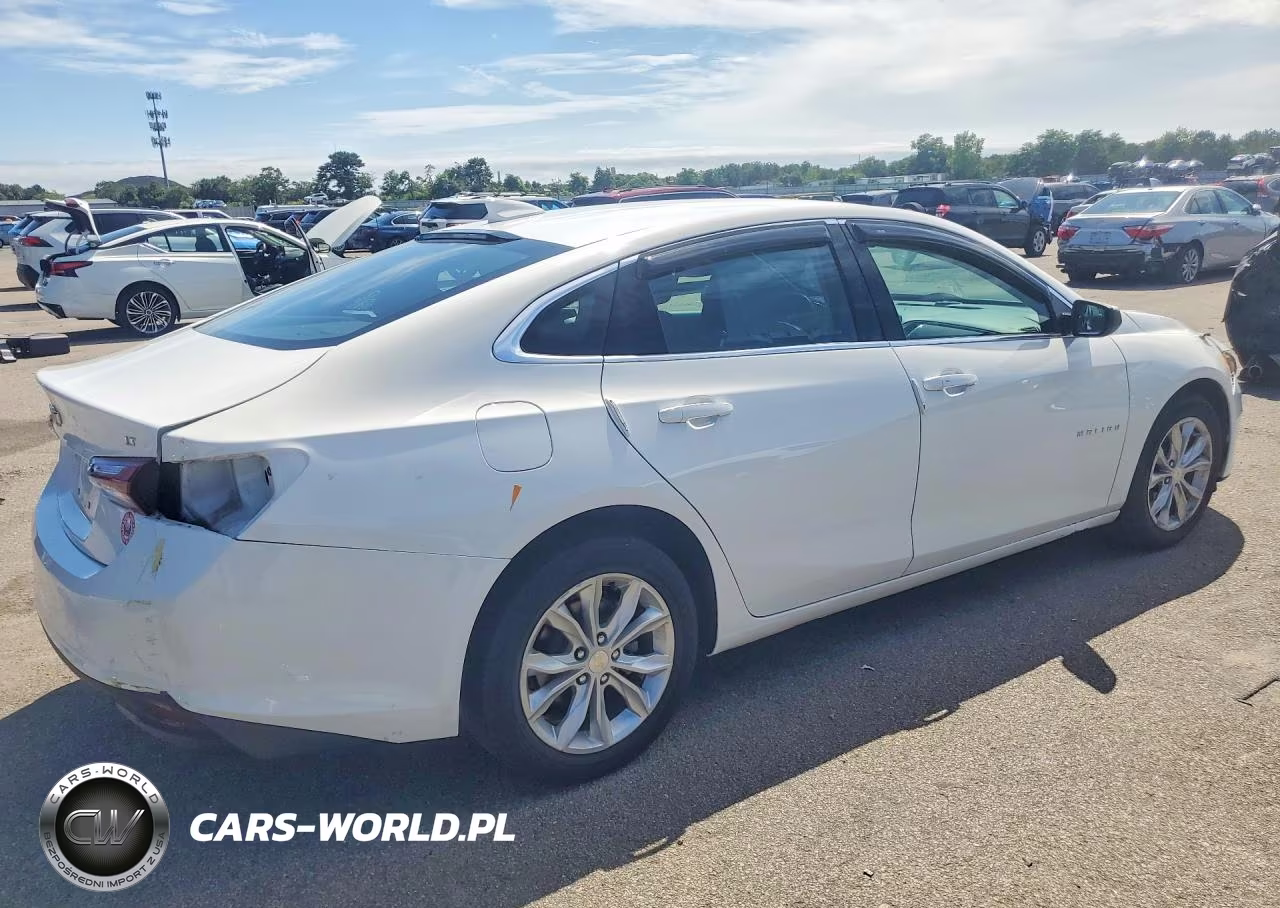 2019 Chevrolet Malibu Lt VIN:1G1ZD5ST2KF206834 - 3