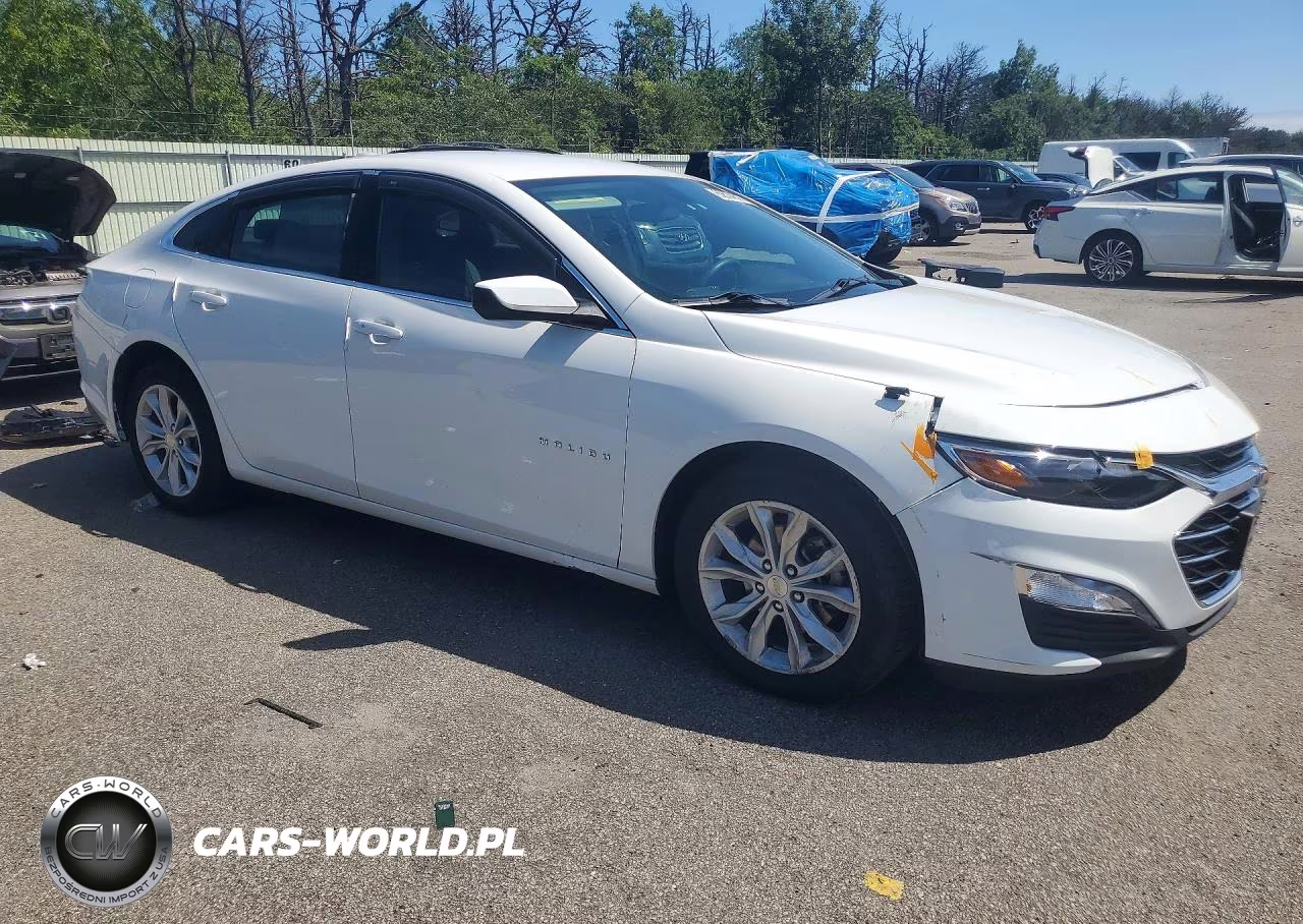 2019 Chevrolet Malibu Lt VIN:1G1ZD5ST2KF206834 - 4