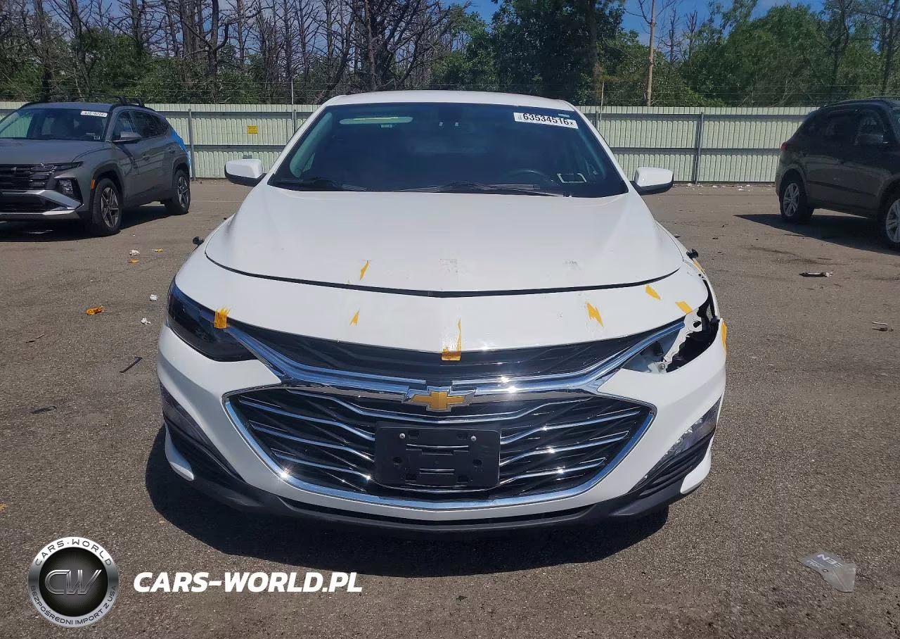 2019 Chevrolet Malibu Lt VIN:1G1ZD5ST2KF206834 - 5