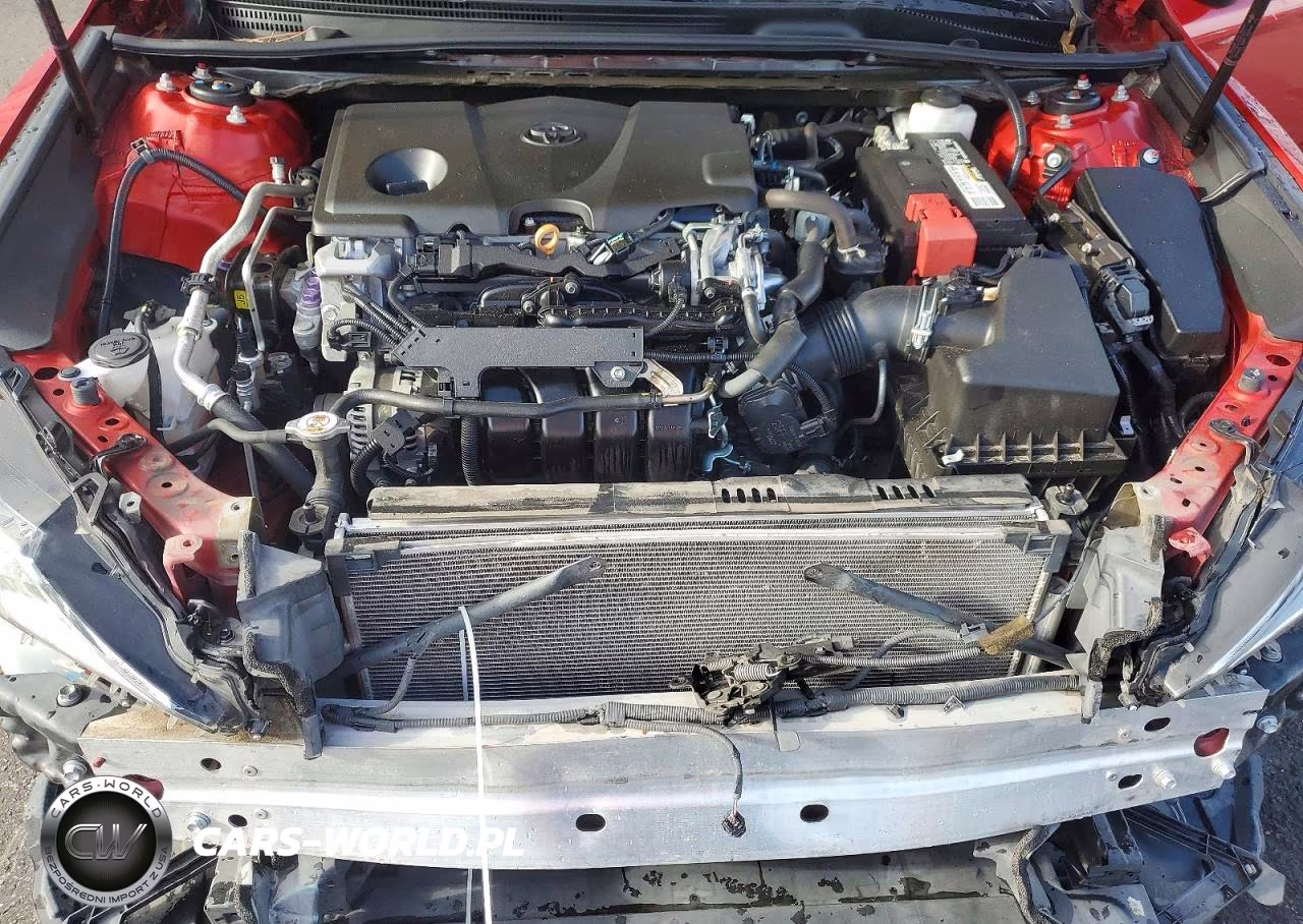 2019 Toyota Camry Se VIN:4T1B11HK2KU164696 - 11