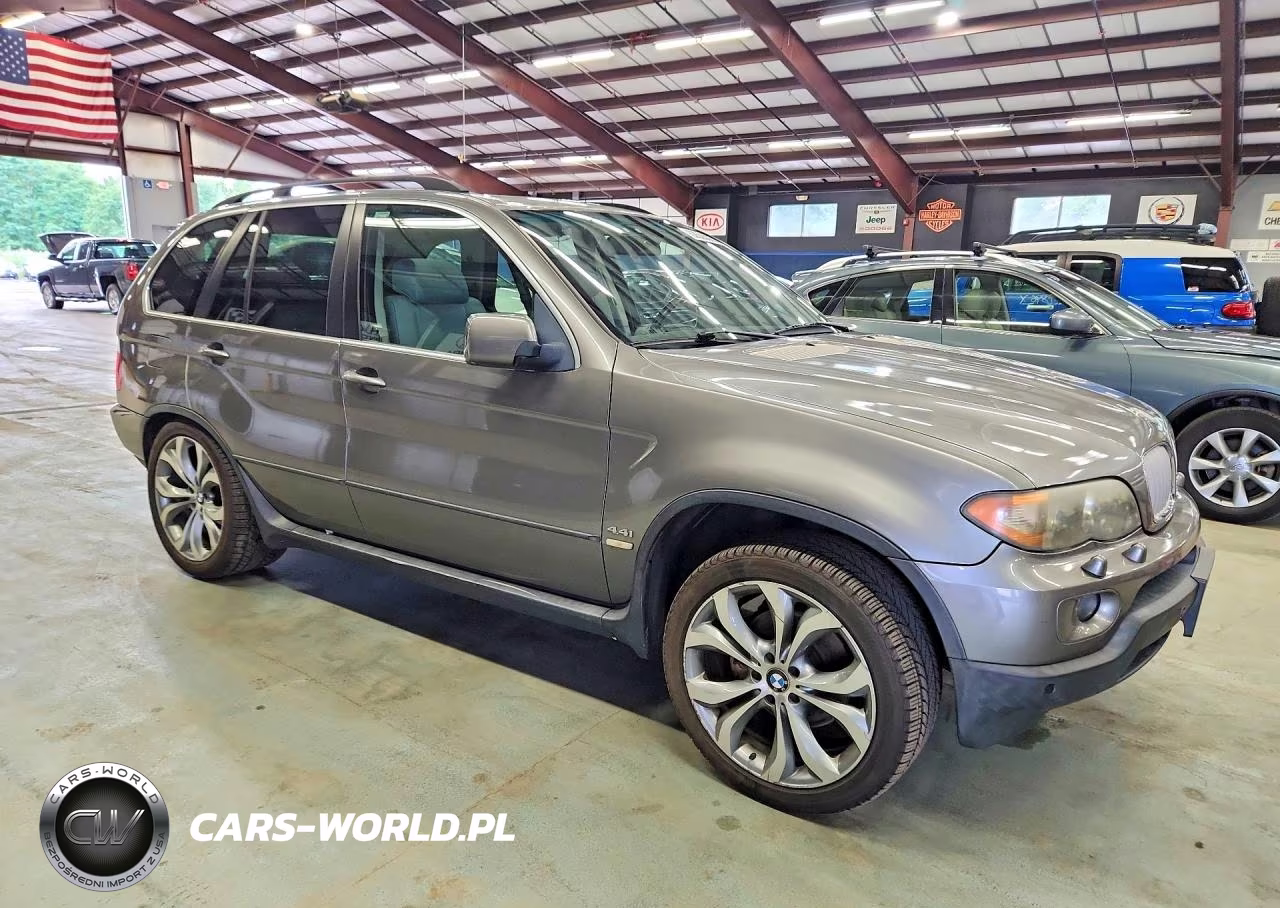 2005 BMW X5 VIN:5UXFB53585LV17933 - 4