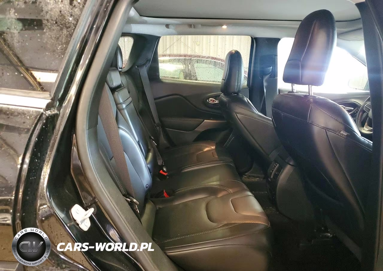 2019 Jeep Cherokee Limited VIN:1C4PJMDX7KD252432 - 11