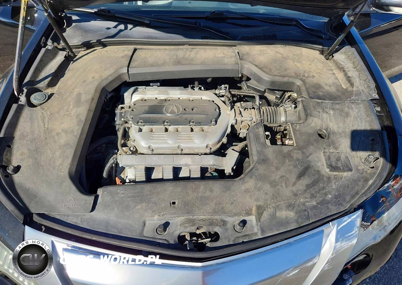 2010 Acura Tl VIN:19UUA8F22AA027039 - 11