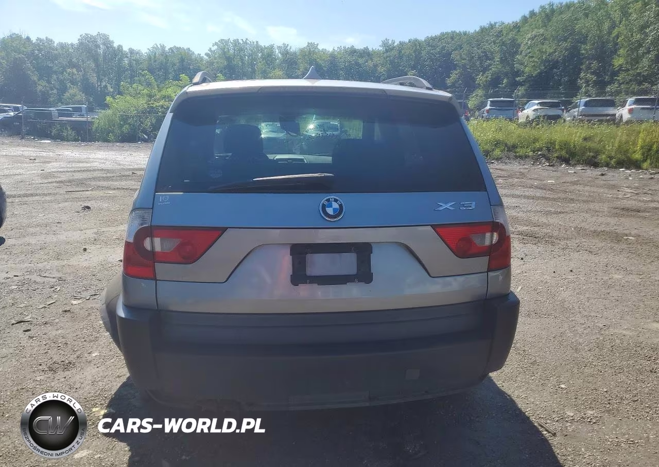 2005 BMW X3 3.0I VIN:WBXPA93405WD19553 - 6