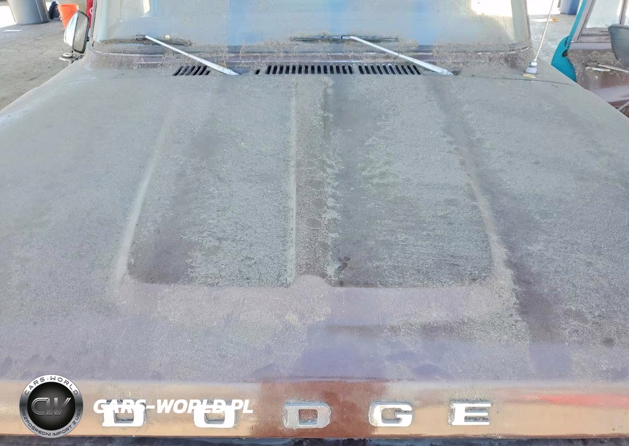 1969 Dodge D100 VIN:1187120173 - 11