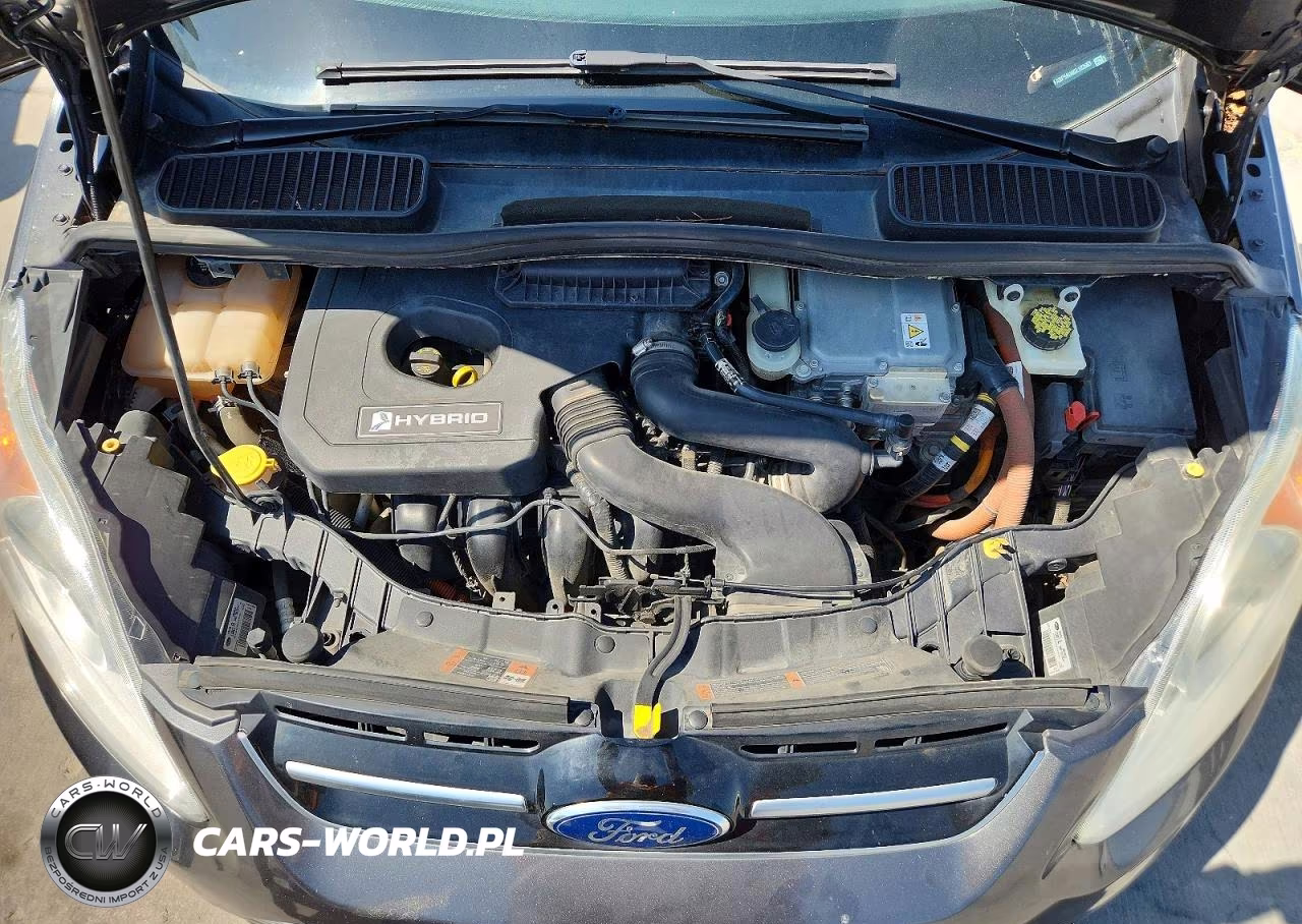 2016 Ford C-Max Se VIN:1FADP5AU0GL102683 - 11
