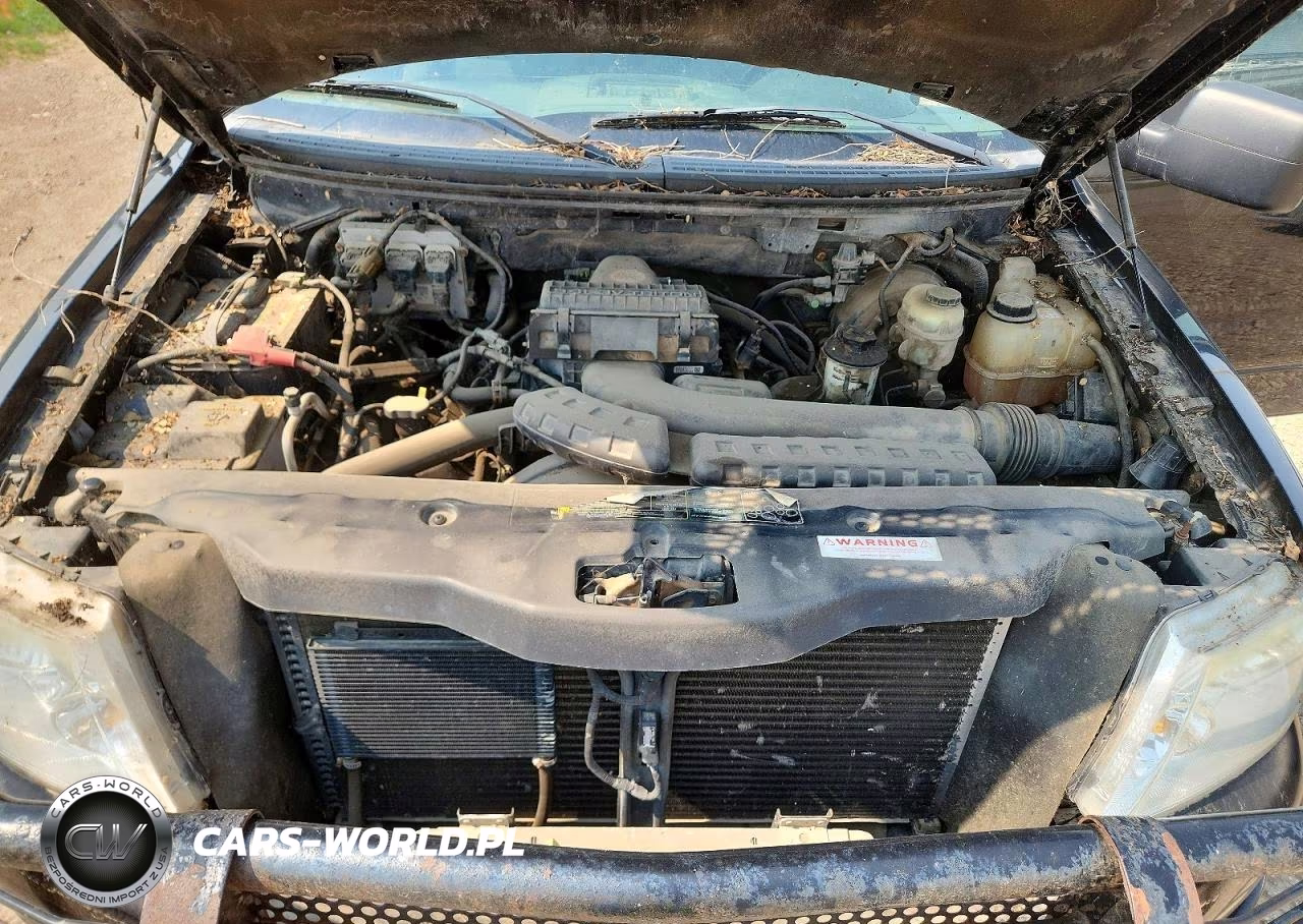 2004 Ford F150 VIN:1FTPX145X4KD95448 - 11