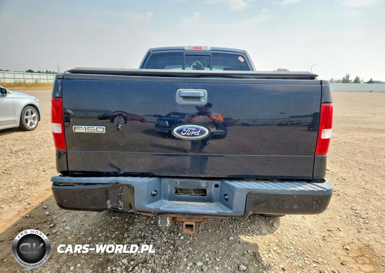 2004 Ford F150 VIN:1FTPX145X4KD95448 - 6