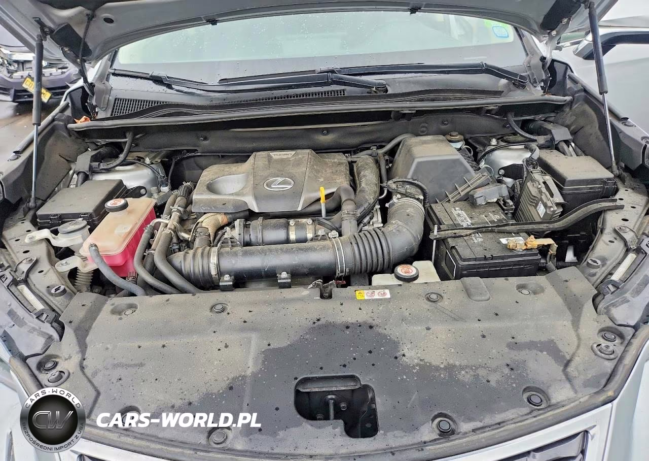 2019 Lexus Nx 300 Base VIN:JTJBARBZ4K2204603 - 12