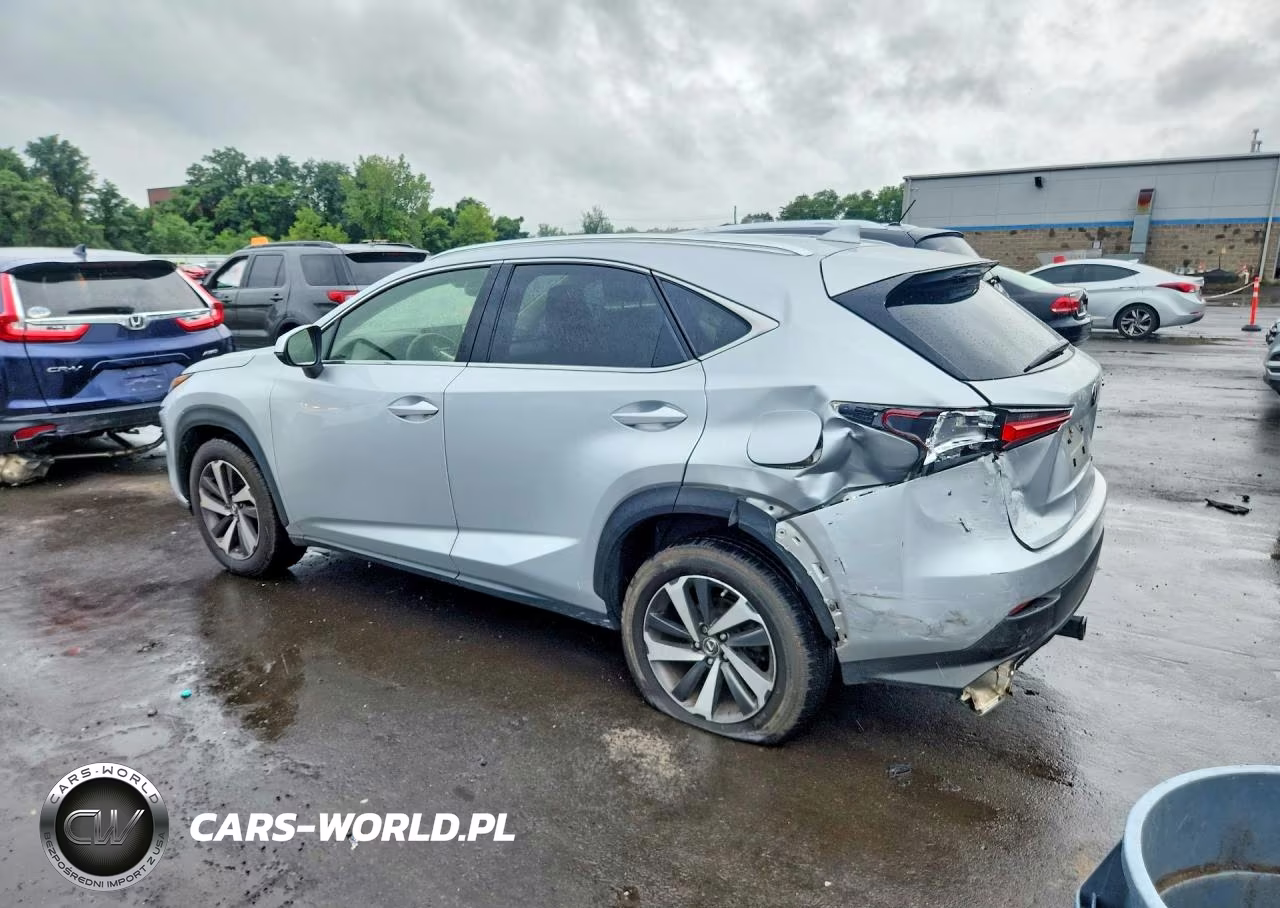 2019 Lexus Nx 300 Base VIN:JTJBARBZ4K2204603 - 2