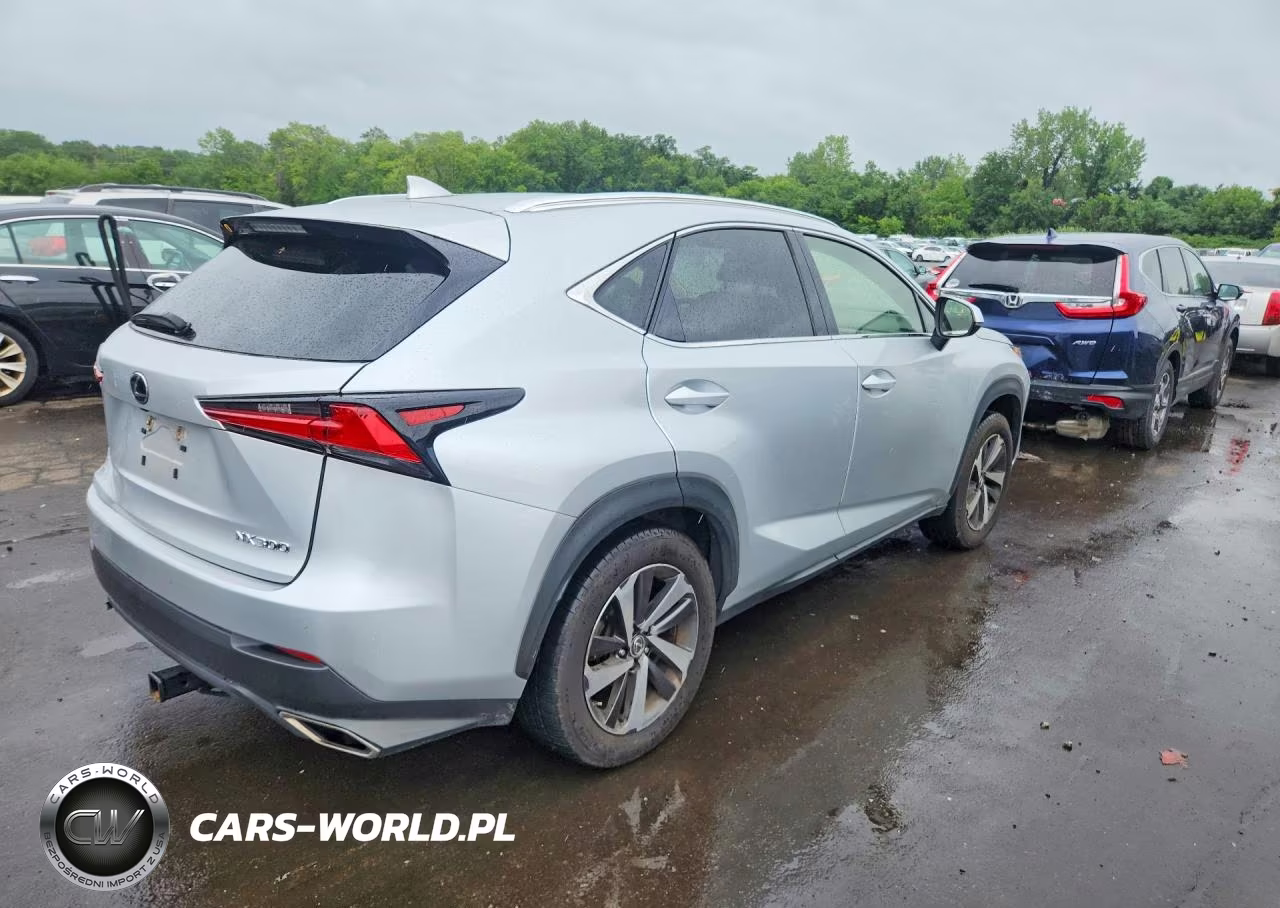2019 Lexus Nx 300 Base VIN:JTJBARBZ4K2204603 - 3