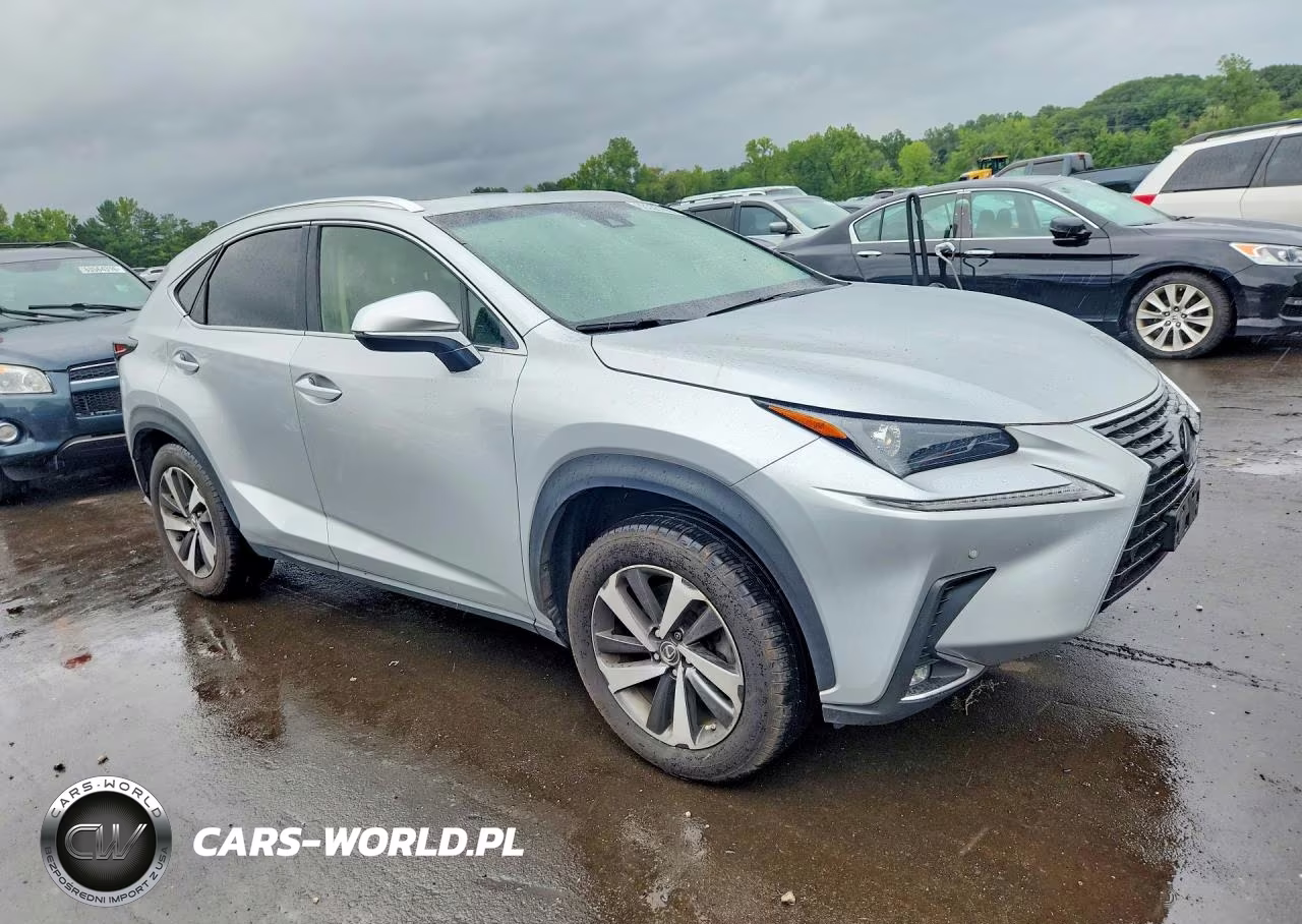 2019 Lexus Nx 300 Base VIN:JTJBARBZ4K2204603 - 4