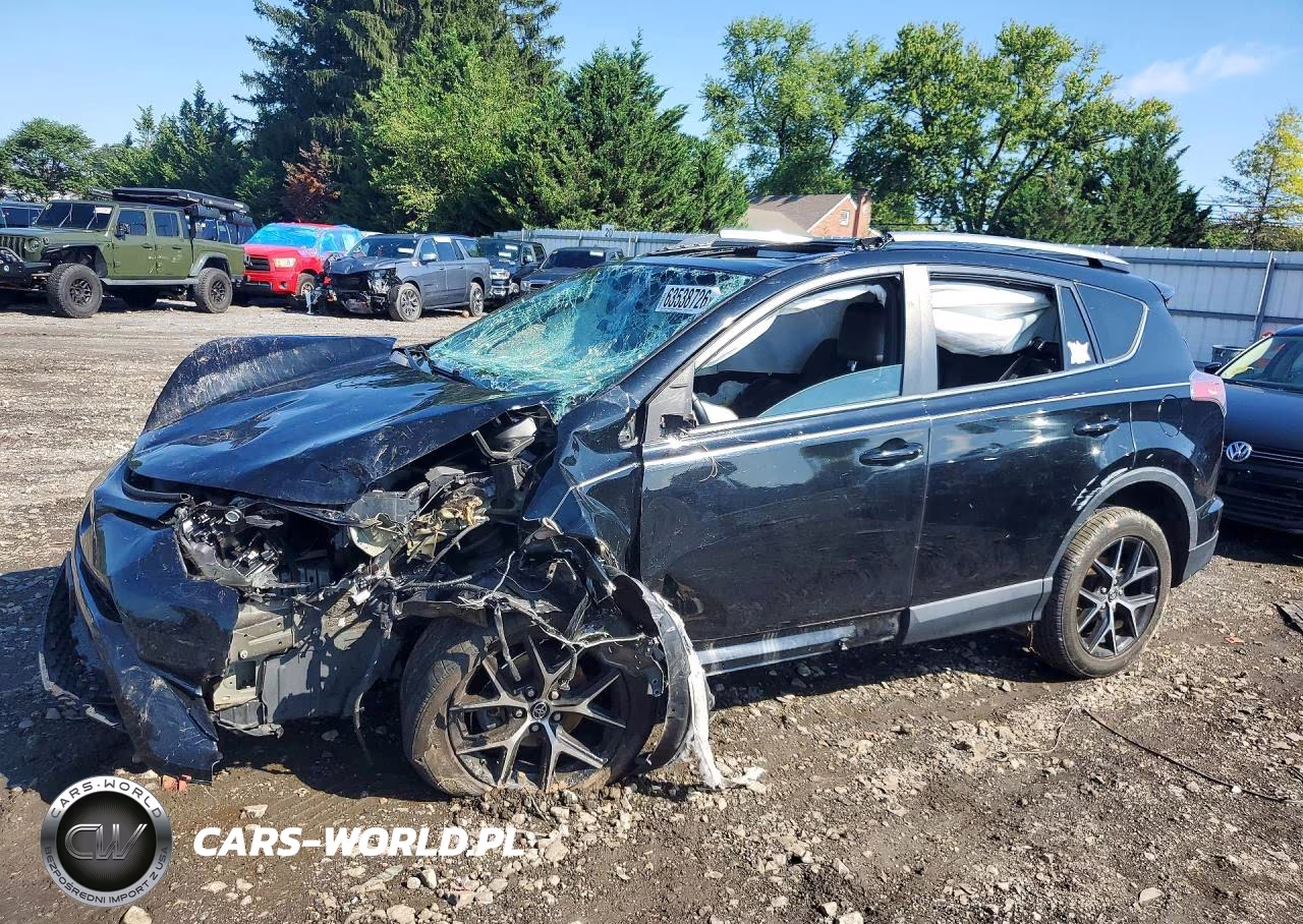 2018 Toyota Rav4 Se